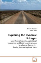 Exploring the Dynamic Linkages