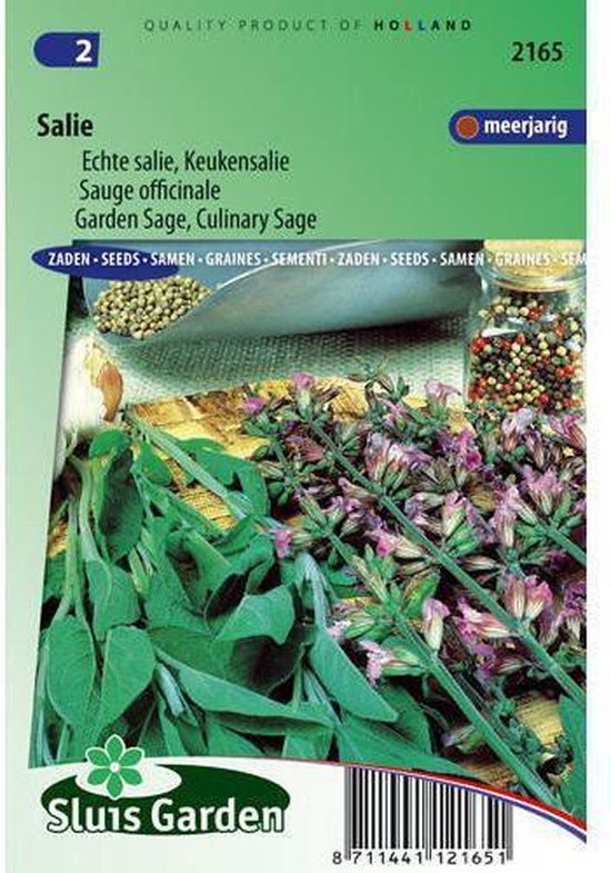 Salie zaden – Keukensalie