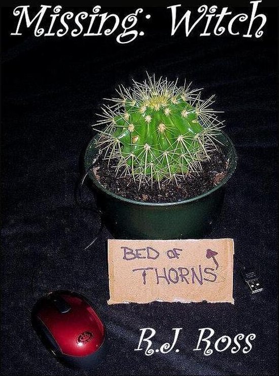Missing Witch (ebook), R.J. Ross 9781452349350 Boeken