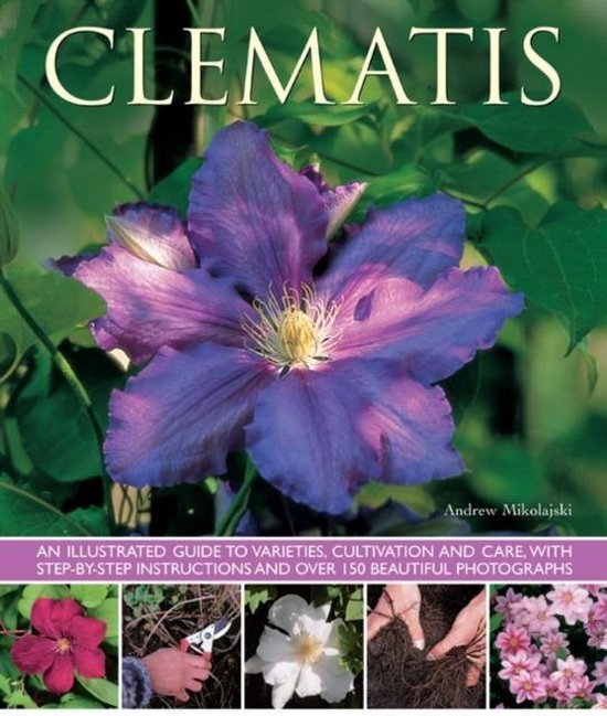 bol.com | Clematis, Andrew Mikolajski | 9781780192512 | Boeken
