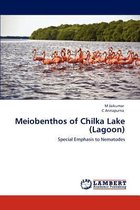 Meiobenthos of Chilka Lake (Lagoon)