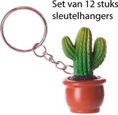 set van 12 cactus sleutelhangers
