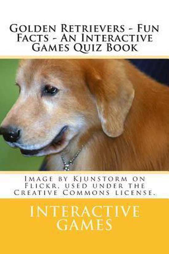 Golden Retrievers 9781481175913 Interactive Games Boeken bol