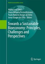 World Sustainability Series - Towards a Sustainable Bioeconomy: Principles, Challenges and Perspectives