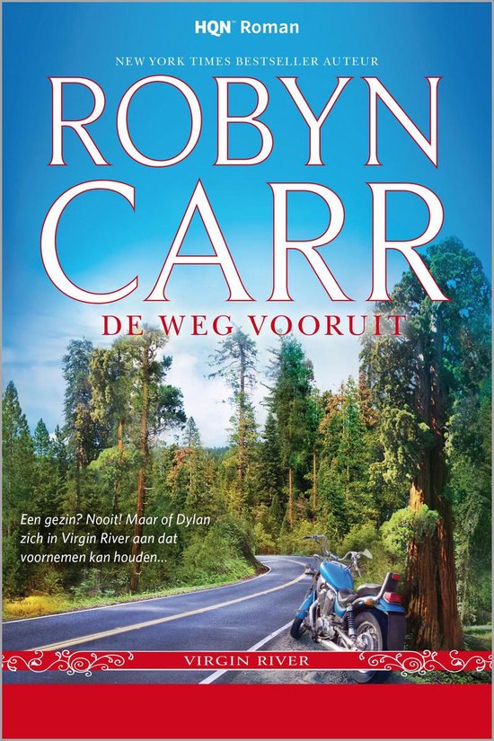 9789034756411 - De weg vooruit