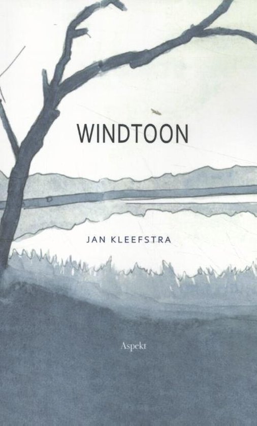 Windtoon - Jan Kleefstra | Respetofundacion.org
