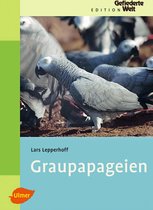 Graupapageien