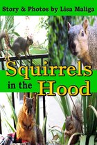 Squirrels in the Hood