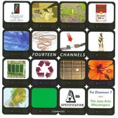 Fourteen Channels