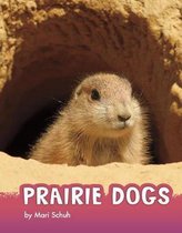 Prairie Dogs