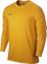 Nike Park Goalie II - Keepersshirt - Heren - Maat S - Geel