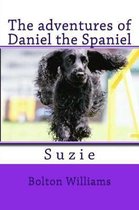 The adventures of Daniel the Spaniel