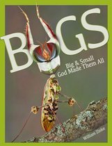 Bugs Big & Small