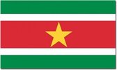 Vlag Suriname 90 x 150 cm feestartikelen - Suriname landen thema supporter/fan decoratie artikelen