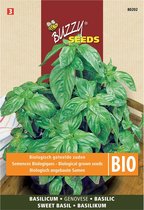 Buzzy  Seeds Bio Basilicum Genovese (Skal 14218 NL-BIO-01)