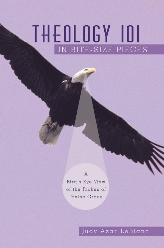 Couverture du livre: Theology 101 in Bite-Size Pieces, avec un pygargue à tête blanche volant sur fond lilas.