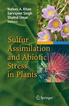 Sulfur Assimilation and Abiotic Stress in Plants