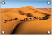 Tuinposter Woestijn met Kamelen 120x80cm- Foto op Tuinposter (wanddecoratie voor buiten en binnen)
