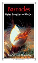 15-Minute Animals - Barnacles: Hated Squatters of the Sea