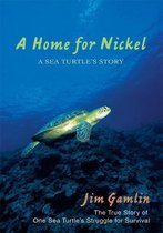 A Home for Nickel