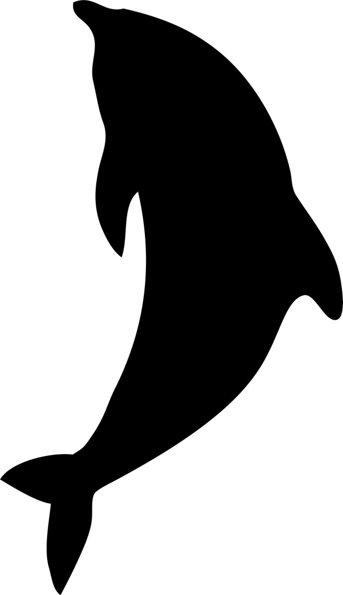 Securit® Silhouette Dolphin wandkrijtbord in zwart