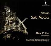 Zelenka: Solo Motets