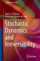 Stochastic Dynamics and Irreversibility