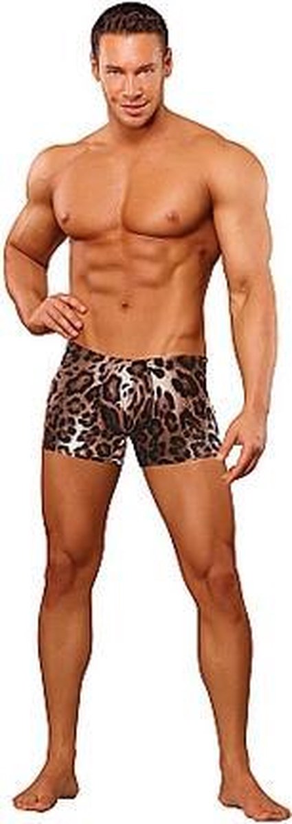 Male Power Leopard Lace Lingerie voor mannen Pouch Short S - bruin