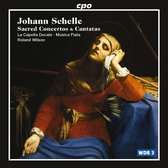 Sacred Concertos &Amp; Cantatas