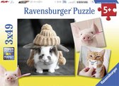 Ravensburger puzzel Komische dierenportretten - 3x49 stukjes - kinderpuzzel