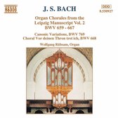 Wolfgang Rübsam - Organ Chorales 2 (CD)