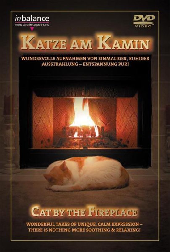 Cover van de film 'Cat By The Fireplace'
