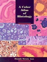 A Color Atlas of Histology