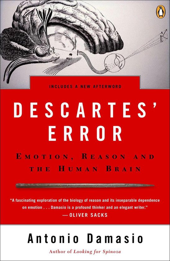 Descartes' Error - cover