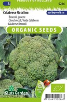 Sluis Garden - Broccoli Calabrese Natalino BIO