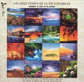 Sieze Étapes de La Vie Naturelle