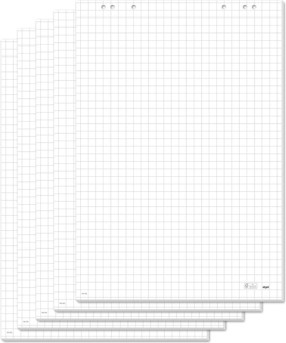 Sigel Flipoverblok Meet Up - 80g 68x98cm geruit, 5 sets a 20 vel met perforatie - SI-MU165