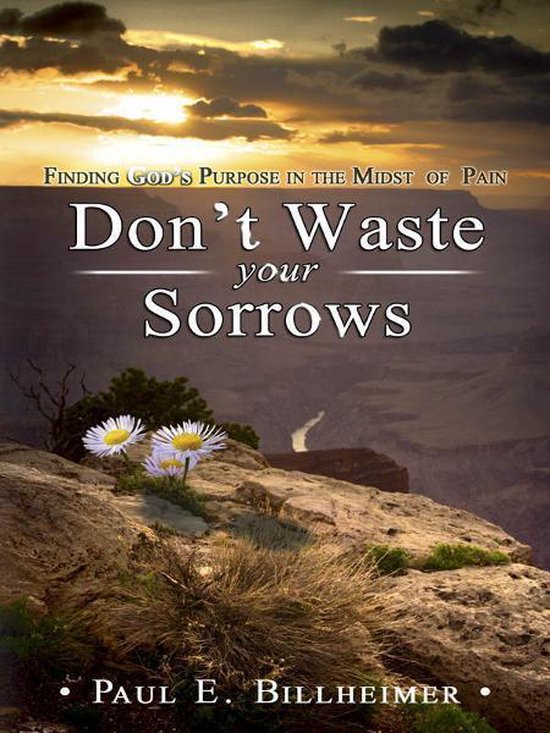 Don't Waste Your Sorrows - cover