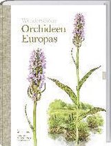 Wunderschöne Orchideen Europas