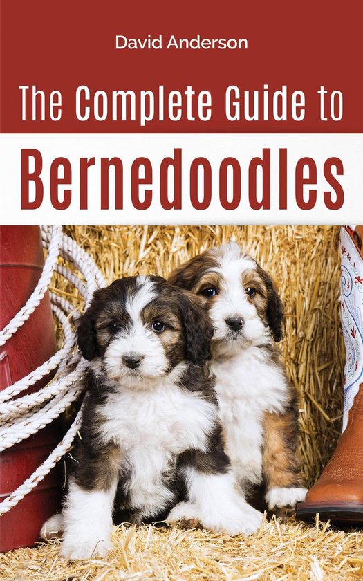 The Complete Guide to Bernedoodles - cover