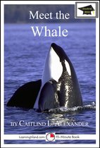 Educational Versions - Meet the Whale: Educational Version