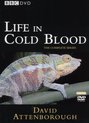 Life In Cold Blood
