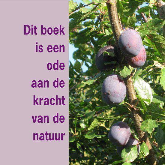 Paarse pruimen aan een boomtak met groene bladeren.