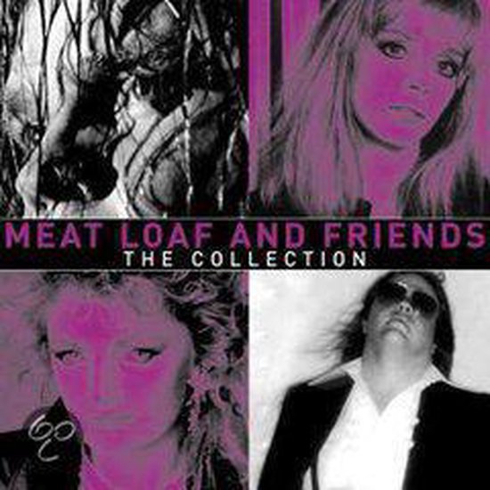 Meat Loaf And Friends, Meat Loaf & Friends CD (album) Muziek bol