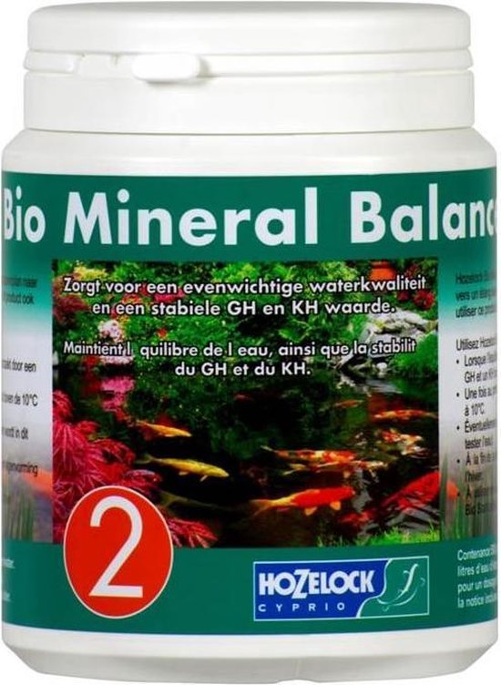 Hozelock - Onderhoud Vijver Balance 1000 gr - voor 10000 liter