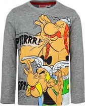 Asterix en Obelix t-shirt grijs 98