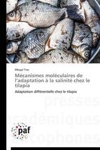 M�canismes Mol�culaires de L Adaptation � La Salinit� Chez Le Tilapia