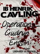 Operation Gudrun Ensslin