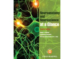 Neuroanatomy and Neuroscience at a Glance