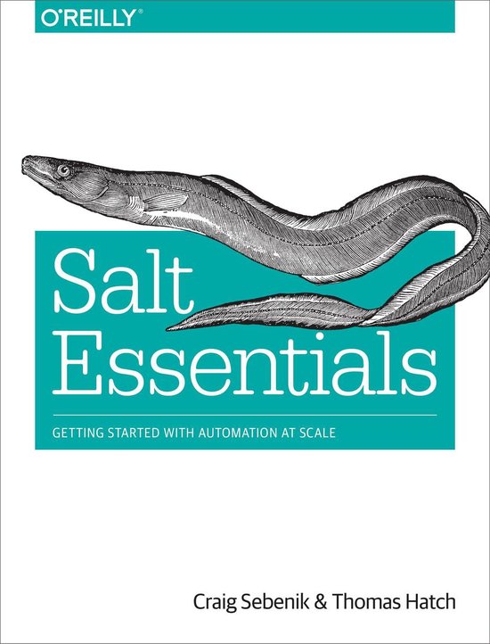 Salt Essentials - cover